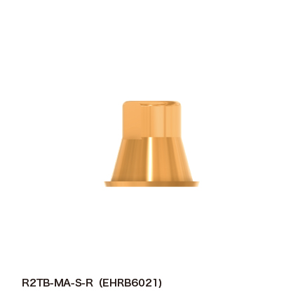 EHRB6021