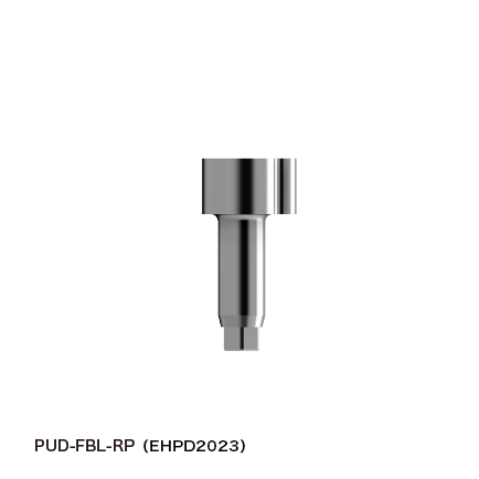 EHPD2023